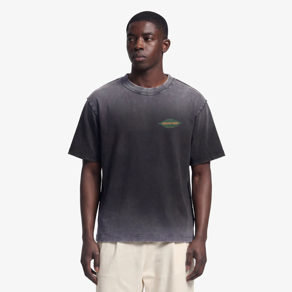 Bram’s Fruit Distressed Leaf T-shirt Zwart