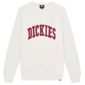 Dickies Aitkin Sweater Off White