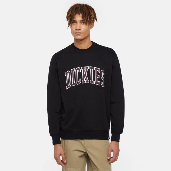 Dickies Aitkin Sweater Zwart