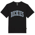 Dickies Aitkin T-shirt Zwart
