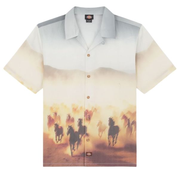 Dickies Running Wild Overhemd Grijs/Bruin