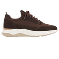 Gentiluomo Minotti Sneaker Brun