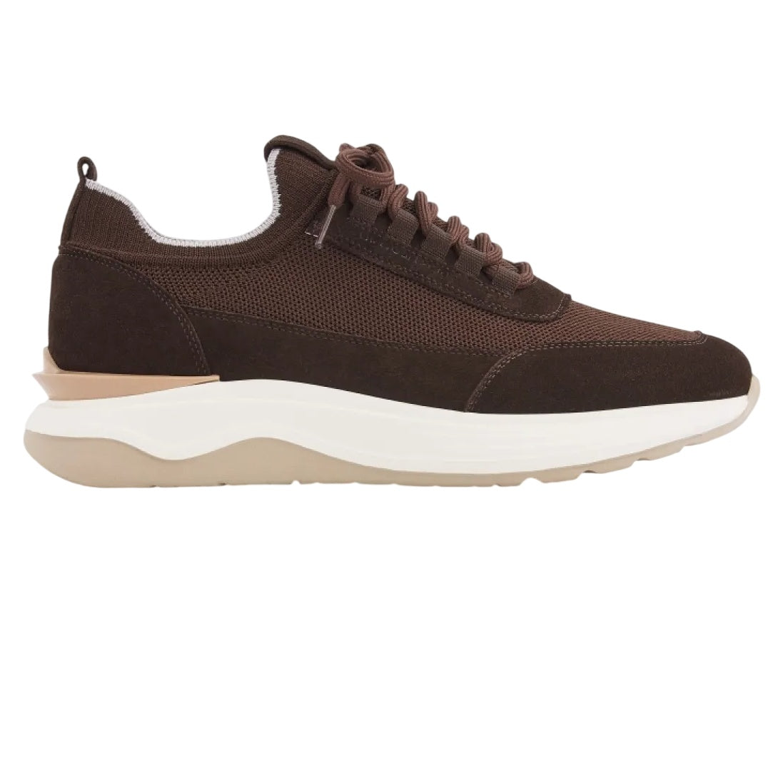 Gentiluomo Minotti Sneaker Brun