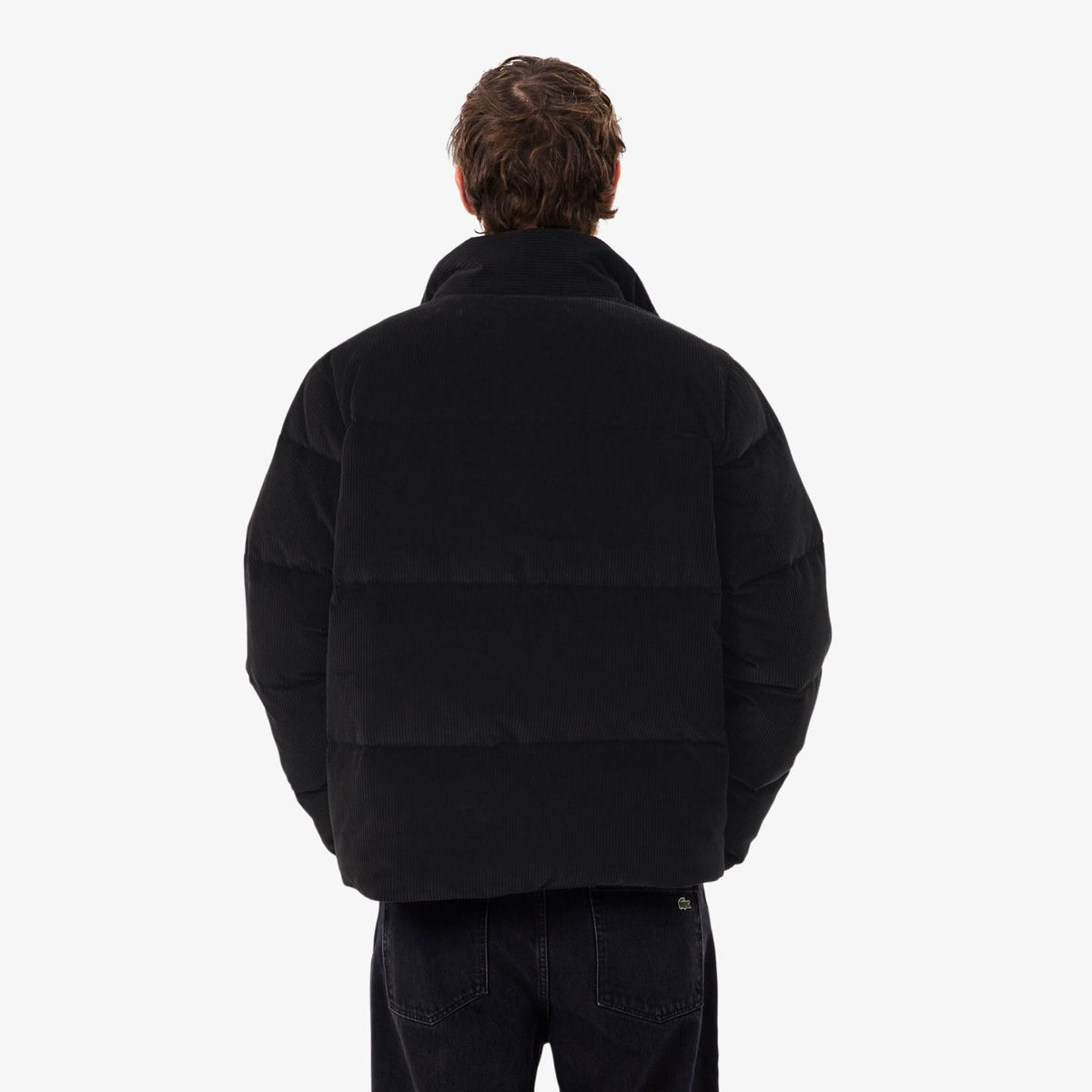 Lacoste fløjls-dunjakke sort